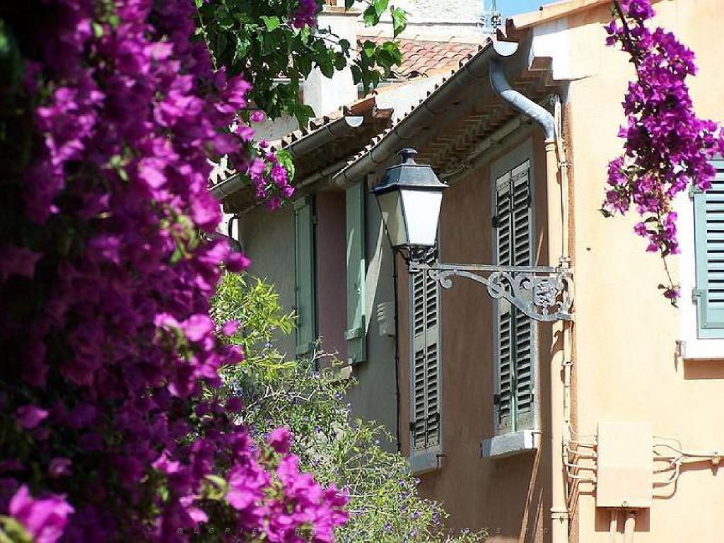 183 D23 BORMES LES MIMOSAS 1_000047.jpg